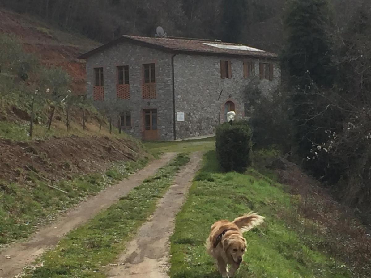 La Difesa Appartement San Romano  Buitenkant foto